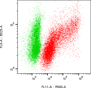 Rabbit-anti ACRV1 monoclonal antibody