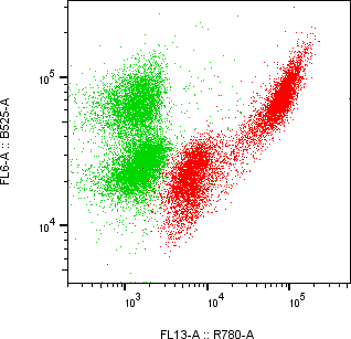 Rabbit-anti PIP monoclonal antibody