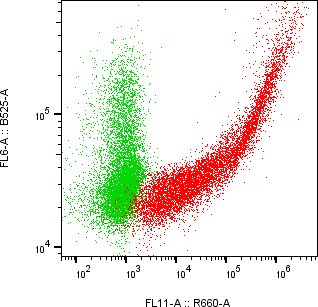 Rabbit-anti FCER2 monoclonal antibody