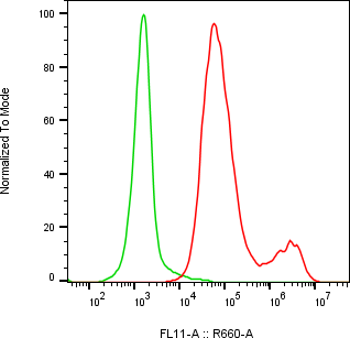 Rabbit-anti CD71 monoclonal antibody