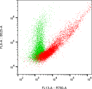 Rabbit-anti CSF3R monoclonal antibody
