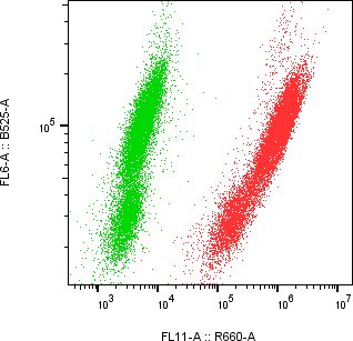Rabbit-anti sclerostin monoclonal antibody