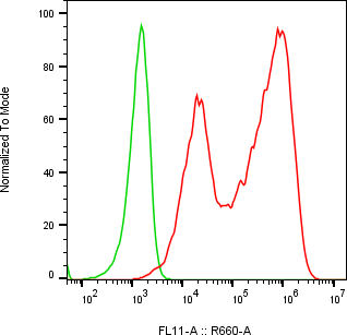 Rabbit-anti SPINK6 monoclonal antibody