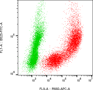 Rabbit-anti PTGDS monoclonal antibody