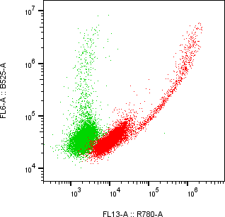 Rabbit-anti KIRREL1 monoclonal antibody