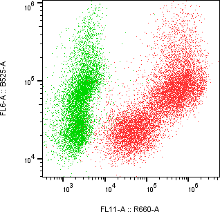 Rabbit-anti ORM2 monoclonal antibody