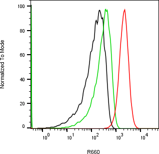 Rabbit-anti TFPI2 monoclonal antibody