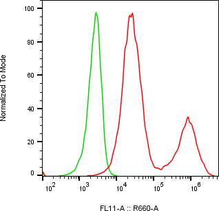 Rabbit-anti MSMB monoclonal antibody