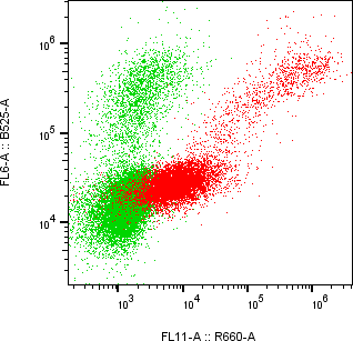 Rabbit-anti SHISAL1 monoclonal antibody