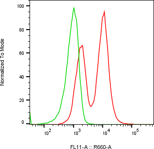 Rabbit-anti CSH1 monoclonal antibody