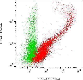 Rabbit-anti ITGB1 monoclonal antibody