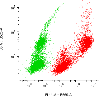 Rabbit-anti IL18BP monoclonal antibody