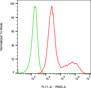 Rabbit-anti SERPINA5 monoclonal antibody