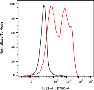 Rabbit-anti PDGFRB monoclonal antibody