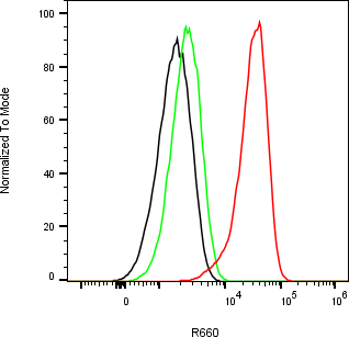 Rabbit-anti LAP region of TGF-&beta;1 monoclonal antibody