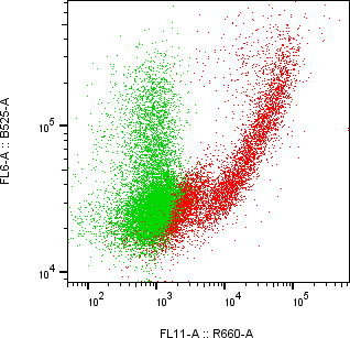 Rabbit-anti FCER2 monoclonal antibody