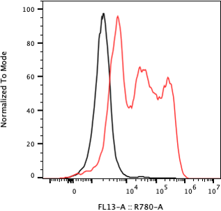 Rabbit-anti C1QTNF1 monoclonal antibody