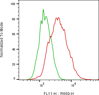 Rabbit-anti MICB monoclonal antibody