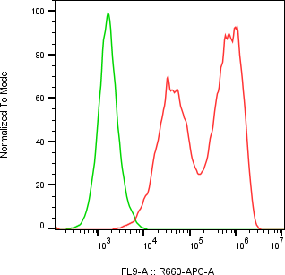 Rabbit-anti PTGDS monoclonal antibody
