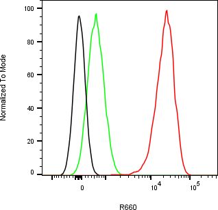 Rabbit-anti TFF1 monoclonal antibody