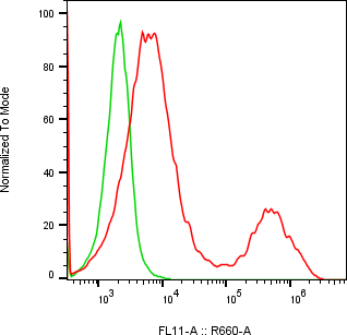 Rabbit-anti NECTIN4 monoclonal antibody