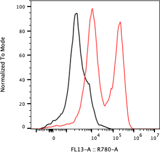 Rabbit-anti IL5 monoclonal antibody