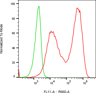 Rabbit-anti ACRV1 monoclonal antibody
