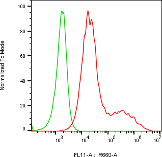 Rabbit-anti SERPINA5 monoclonal antibody