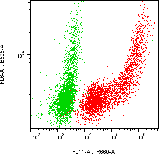 Rabbit-anti SPINK13 monoclonal antibody