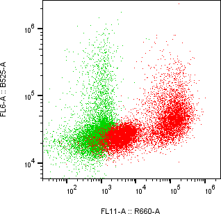 Rabbit-anti CDH17 monoclonal antibody