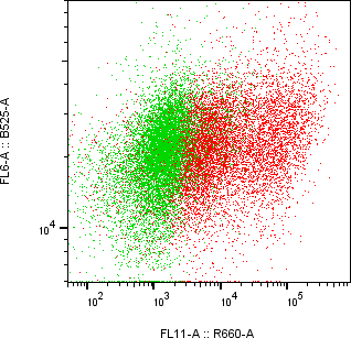 Rabbit-anti GNRH2 monoclonal antibody
