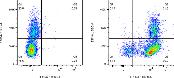Rabbit-anti CD226 monoclonal antibody