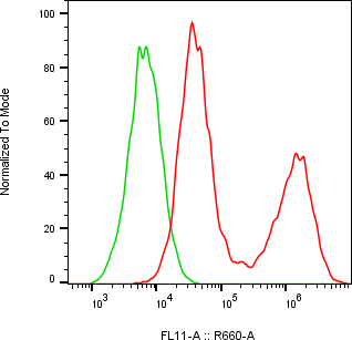 Rabbit-anti NTF4 monoclonal antibody