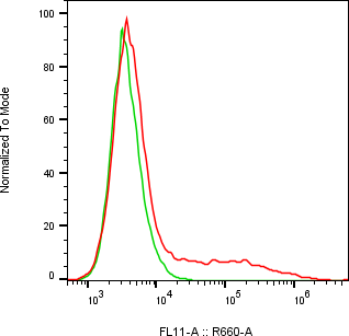 Rabbit-anti IL23R monoclonal antibody
