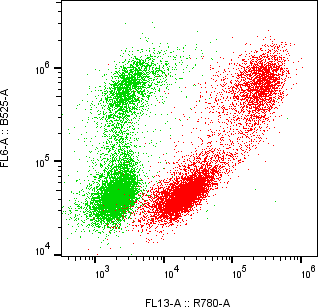 Rabbit-anti CGB7 monoclonal antibody