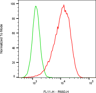Rabbit-anti VSTM1 monoclonal antibody