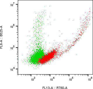 Rabbit-anti KIRREL1 monoclonal antibody