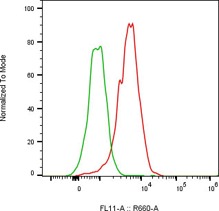 Rabbit-anti SPINT1 monoclonal antibody