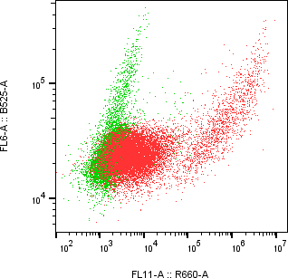Rabbit-anti IL-6 monoclonal antibody