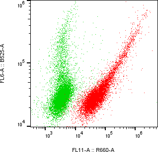 Rabbit-anti LRP10 monoclonal antibody