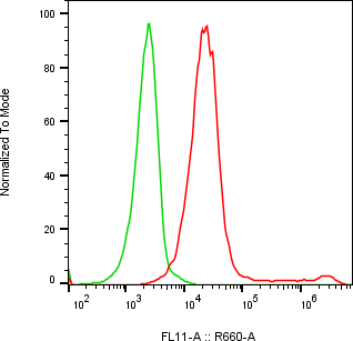 Rabbit-anti SHISAL1 monoclonal antibody