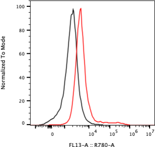 Rabbit-anti KIRREL1 monoclonal antibody