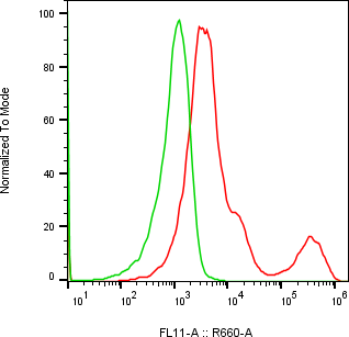 Rabbit-anti DEFB127 monoclonal antibody