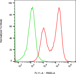 Rabbit-anti GDNF monoclonal antibody