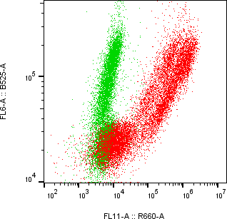 Rabbit-anti CD5L monoclonal antibody