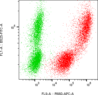 Rabbit-anti SPINK1 monoclonal antibody
