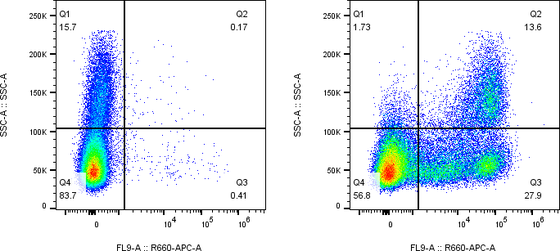 Rabbit-anti CD35 monoclonal antibody