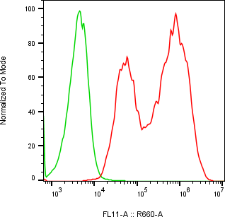 Rabbit-anti GNRH1 monoclonal antibody