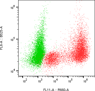Rabbit-anti TREM1 monoclonal antibody