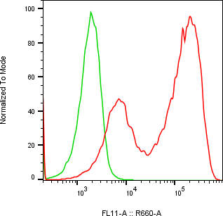 Rabbit-anti DEFA1 monoclonal antibody